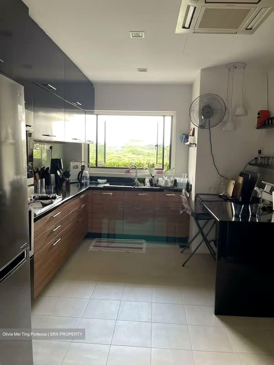 The Arcadia (D11), Condominium #579133001